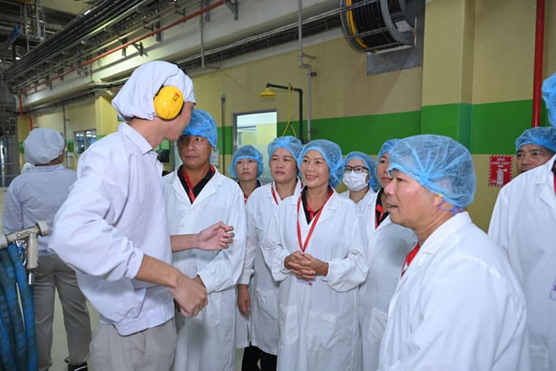 Đồng phục bảo hộ Nestle