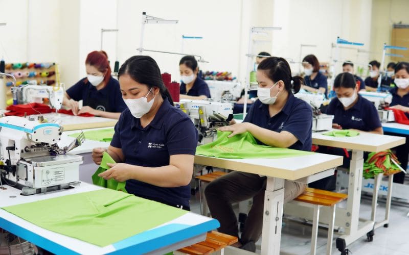 Phân loại theo màu sắc và thiết kế đặc trưng