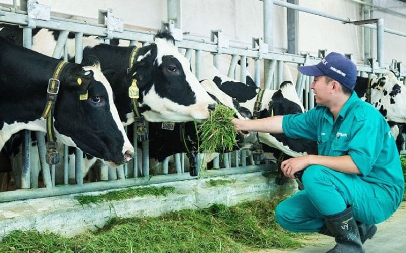 Đồng phục cho công việc chăn nuôi