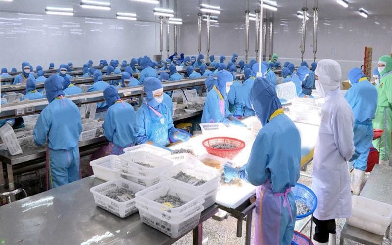 Đồng phục thủy sản là gì?