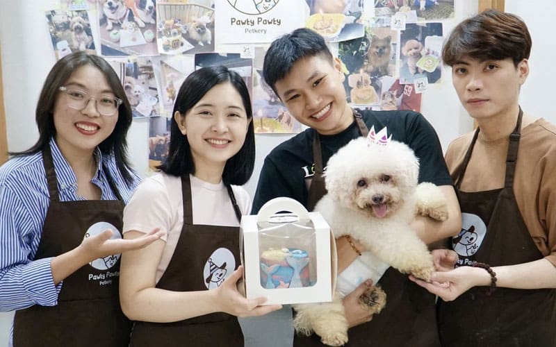 Vì sao nên may tạp dề riêng cho pet shop thay vì dùng đồ có sẵn?