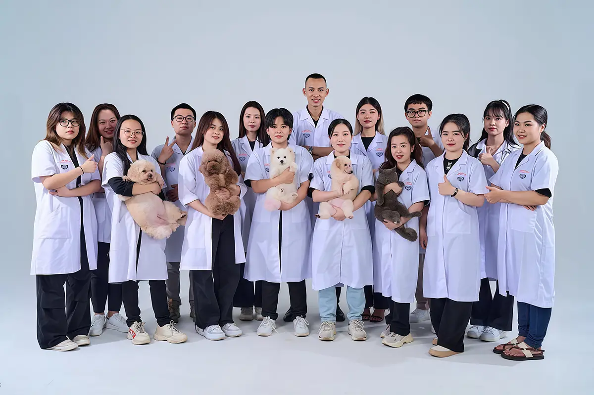 Vì sao phòng khám thú y cần có đồng phục chuyên dụng